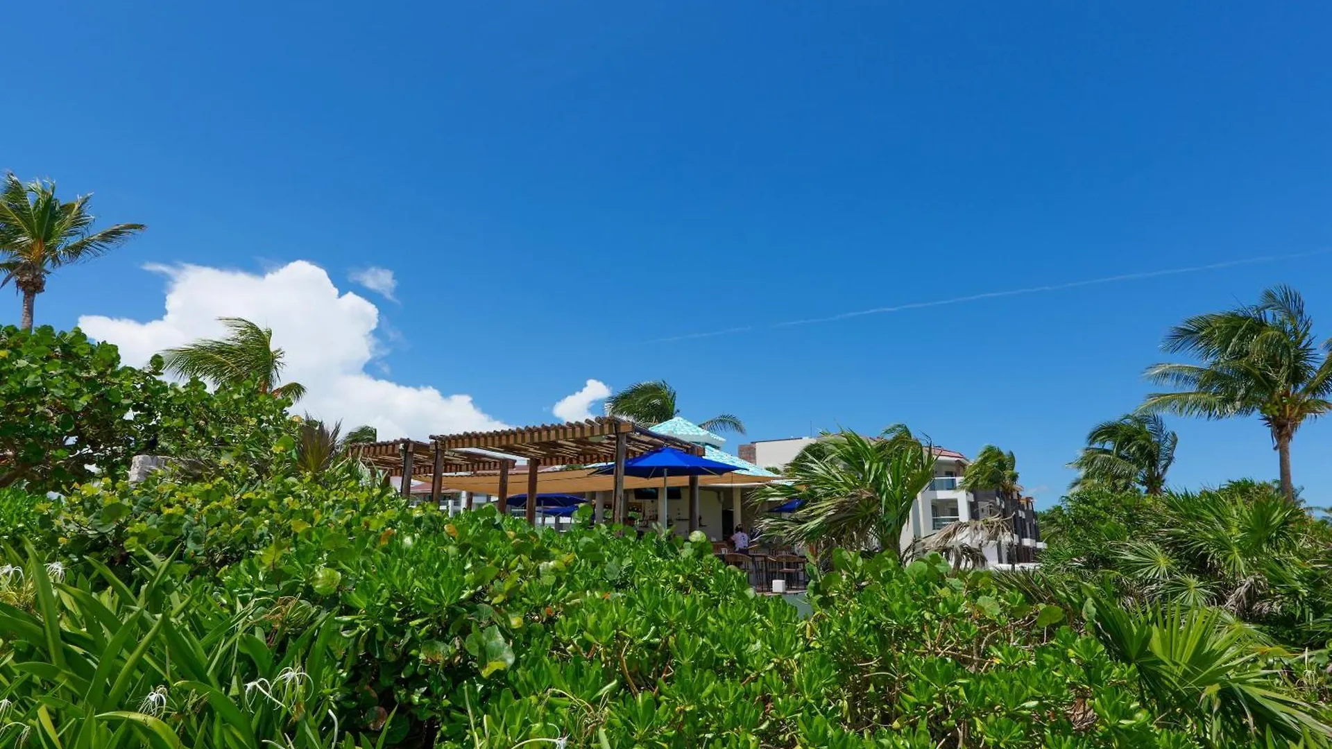 Seaside Serenity Retreat At Mareazul Norte Playa del Carmen